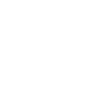 Jet Brain 500x500