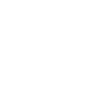 Nexdata 500x500