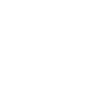 Intel 500x500